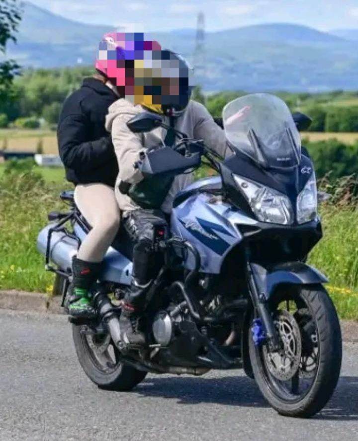 Suzuki, V-STROM, 2006, 645 (cc)