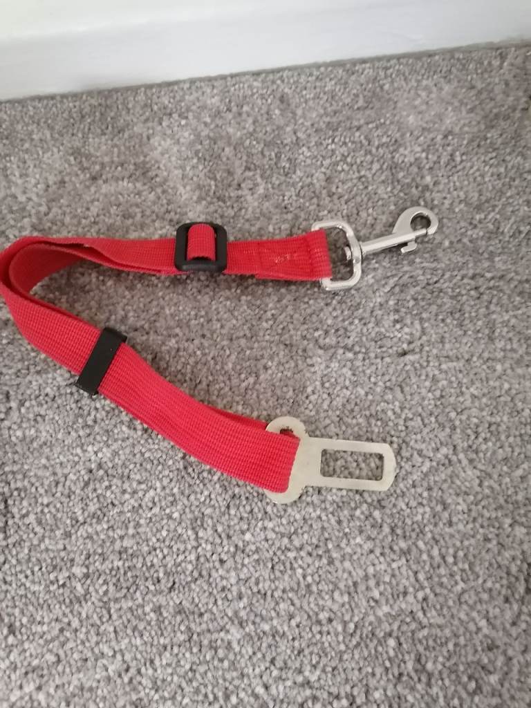 Dog Seat Belt clip