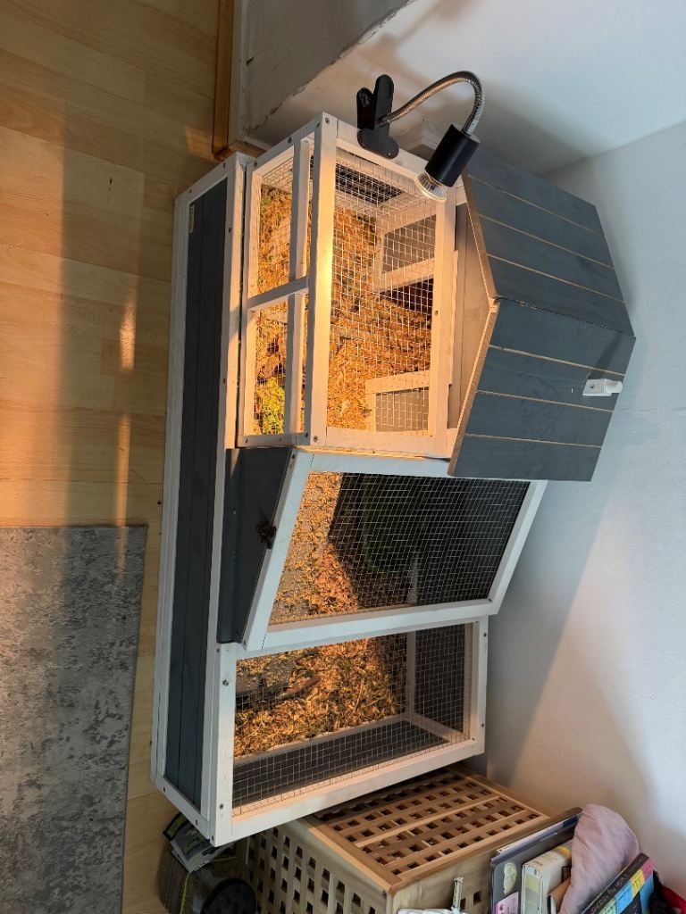 Two-tier Tortoise Table
