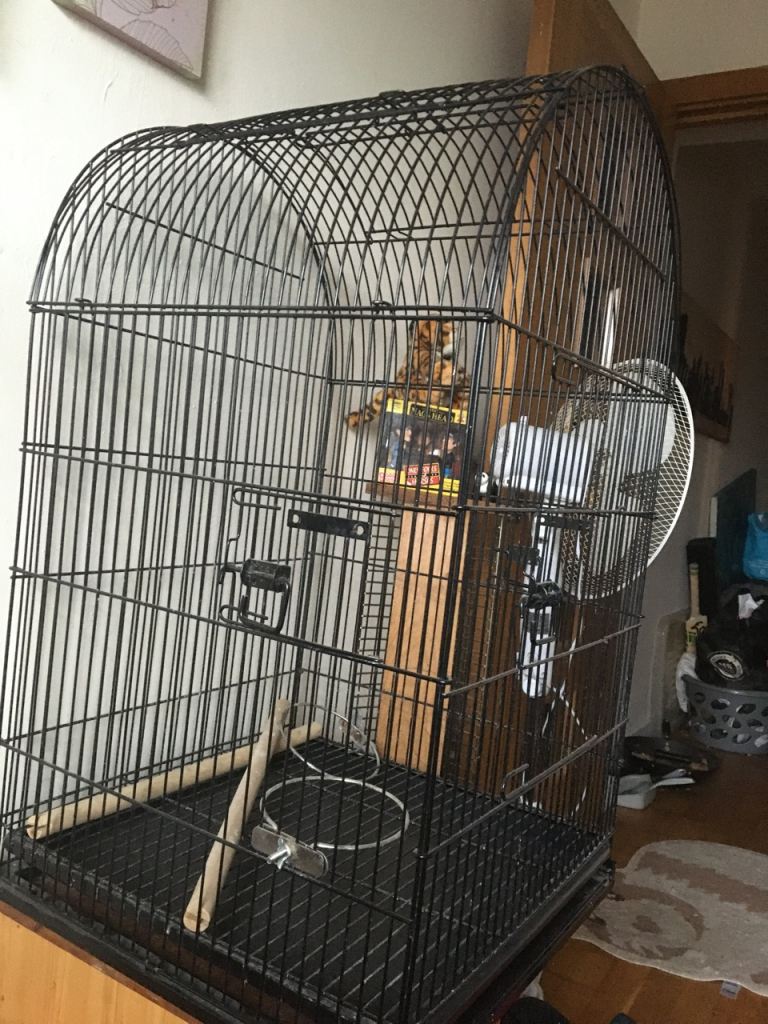 Bird cage