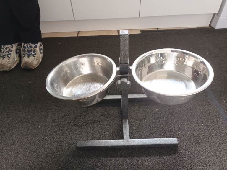 raised dog feeder and stainless steel bowls