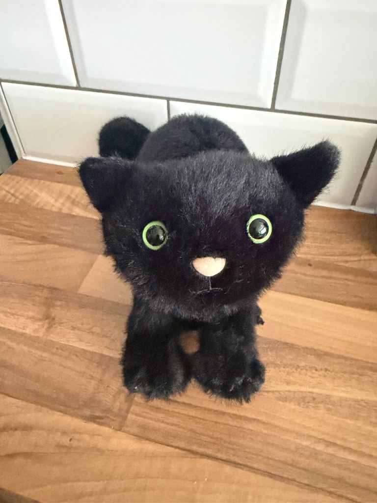 Jellycat Black Cat Plush Soft Toy