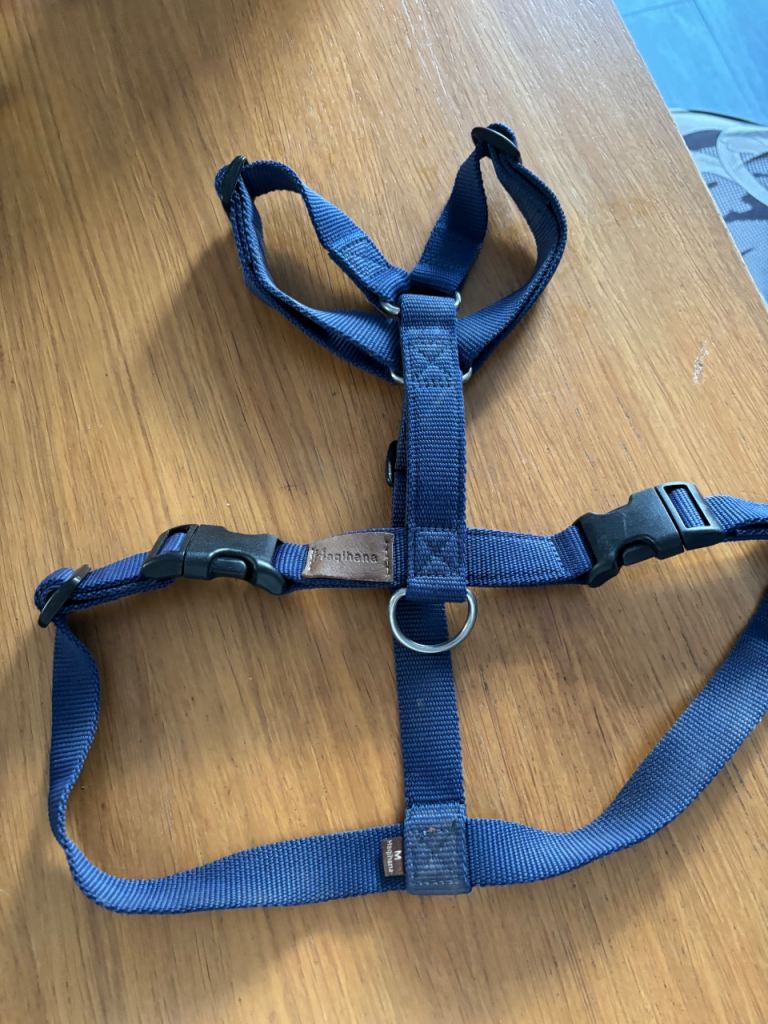Dog Harness