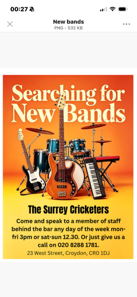 The Surrey Cricketers Are Looking For Bands 