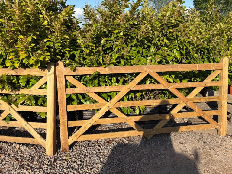 Brand new 10ft field gate
