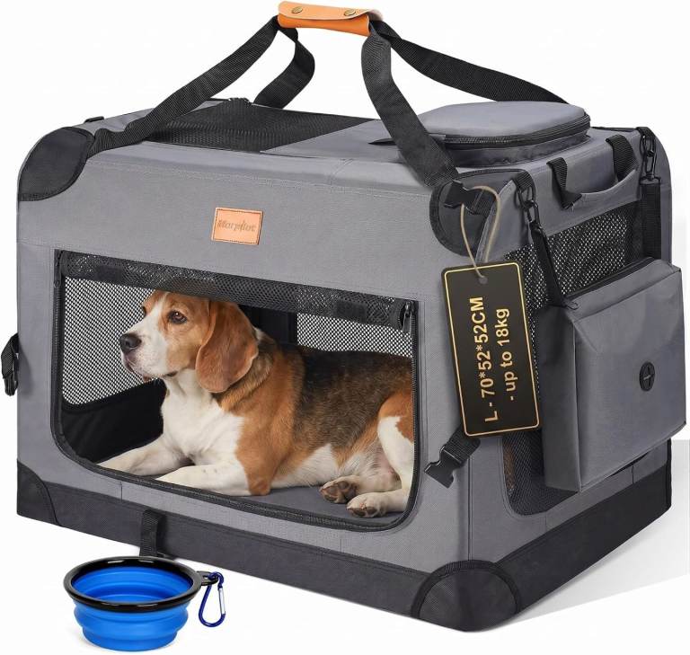 Large dog or cat carrier or travel crate