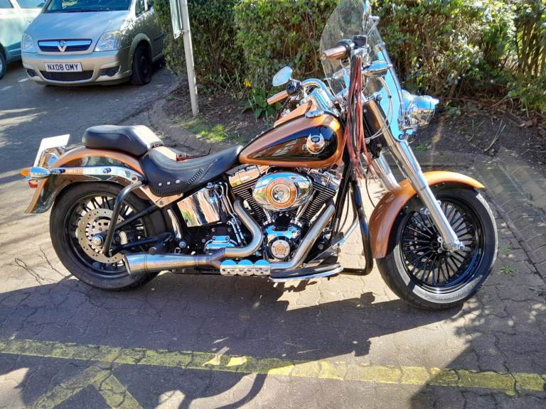   Harley Davidson fat boy FLSTF 2008 Anniversary edition.