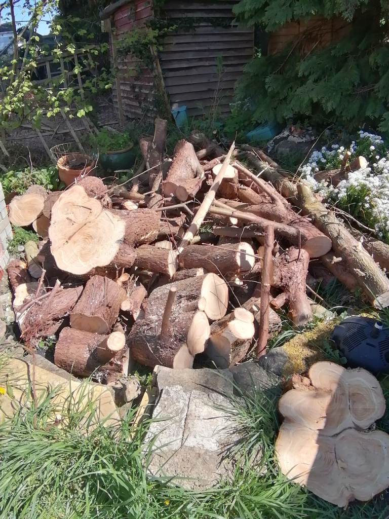 Large Tree Logs & Trunk Sections – Firewood / Woodworking – From £15