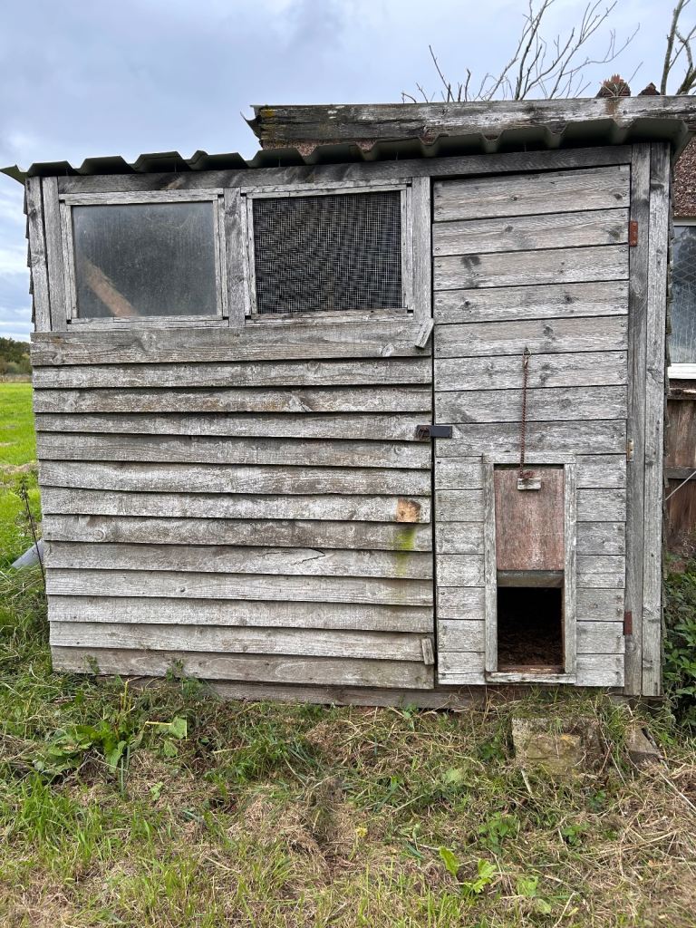 Chicken coop / shed