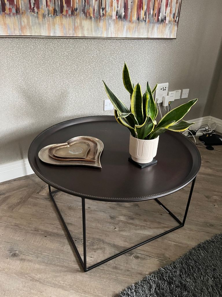 Brass Coffee Table (French Connection)
