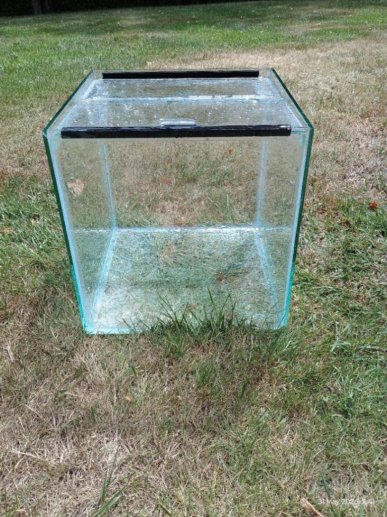 Free! Cubic aquarium/isolation tank