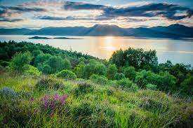 swap my plot of land in scotland for help seed planting and taking camera photos