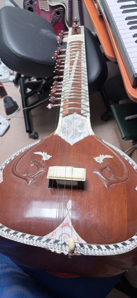 Sitar instrument