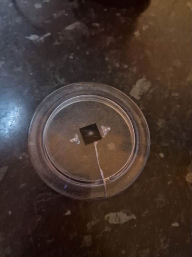 Nespresso Inissia with added extras.