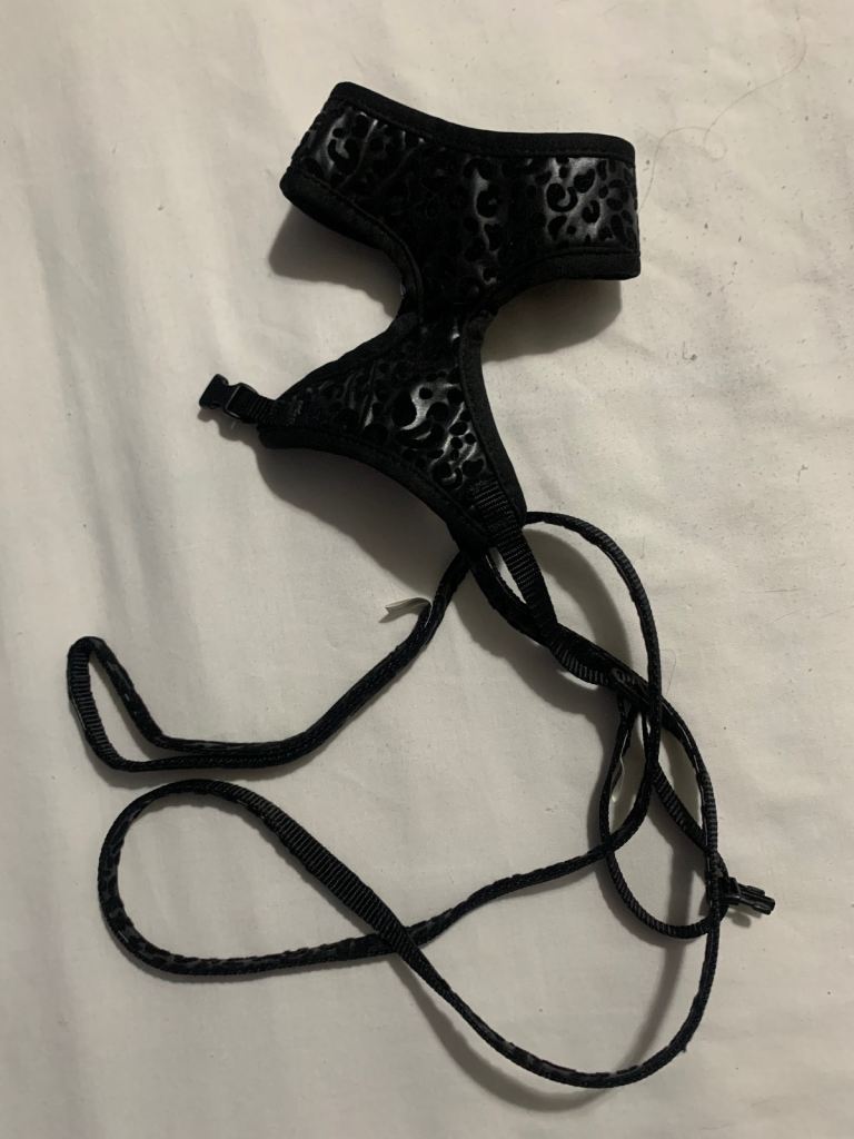 Black Cat Harness