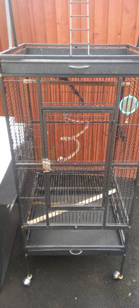 Bird cage