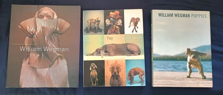  William Wegman - Weimaraner dog books
