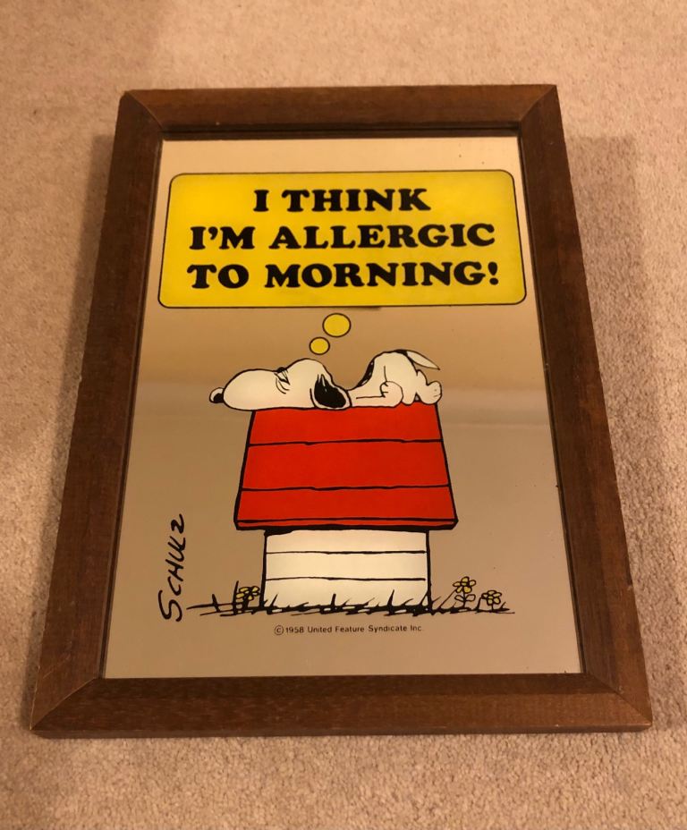 Vintage Snoopy Mirror
