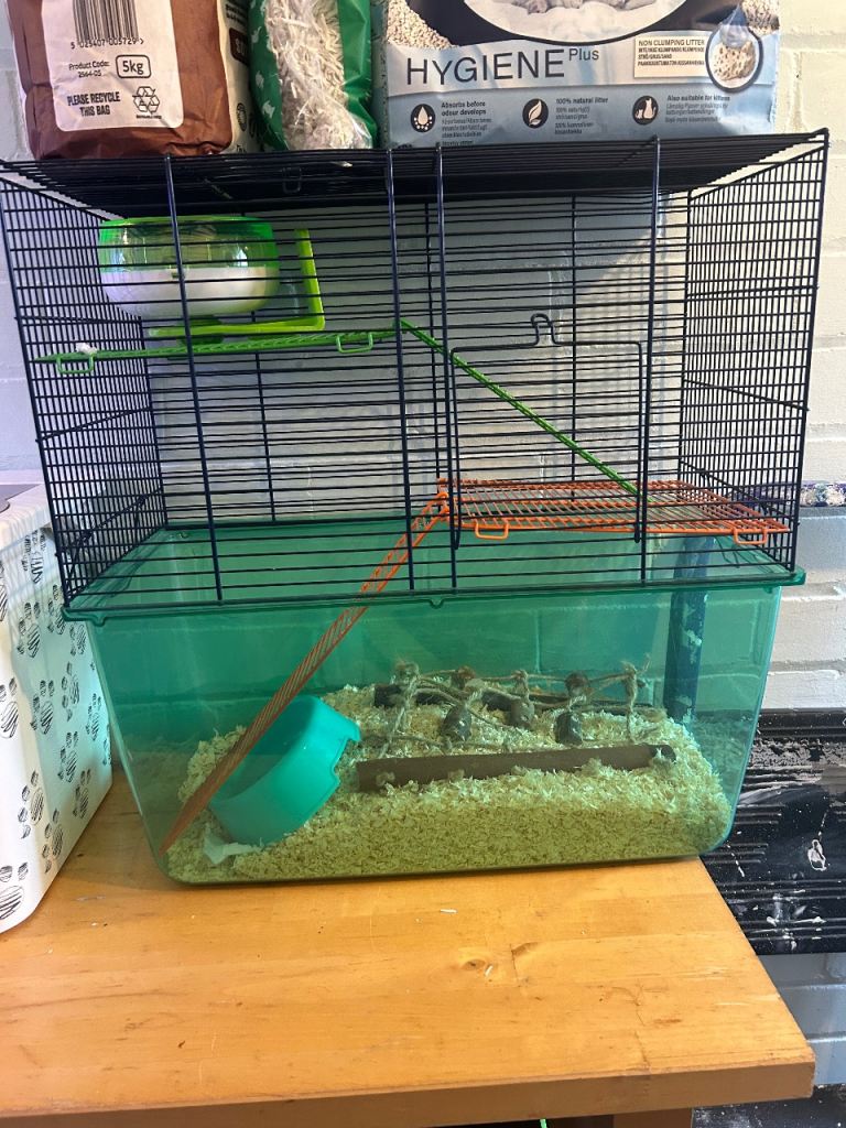 gerbil cage 