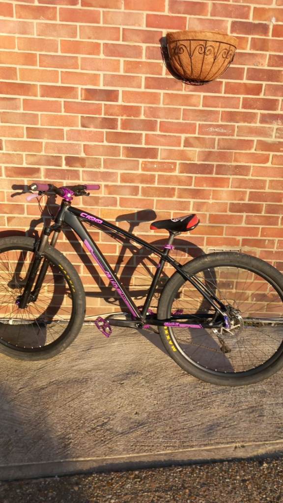 C100 bike