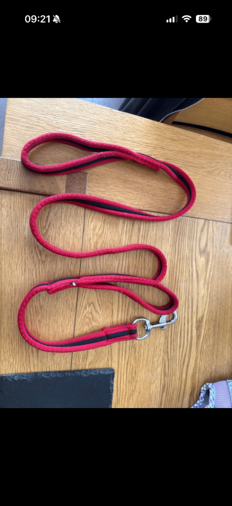 Soft long length dog lead 2 handles