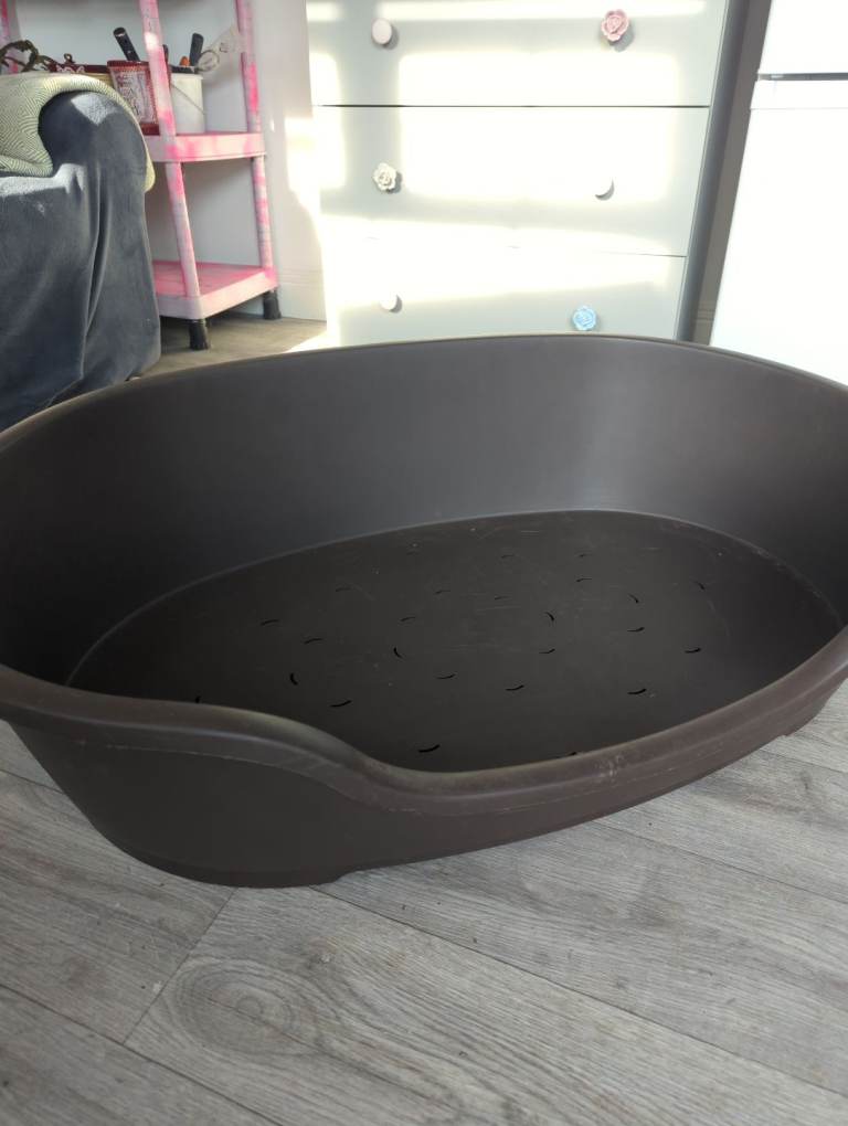 Large dog bed