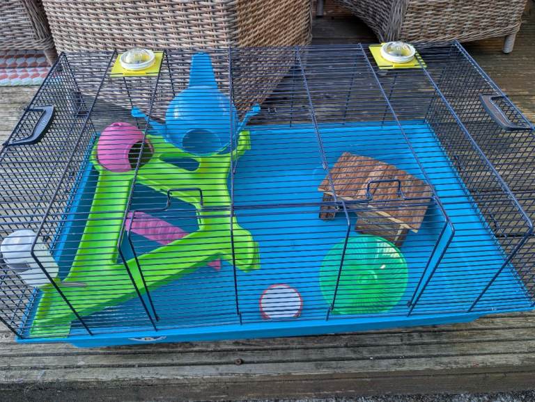 Very Large Hamster Cage With Accessories