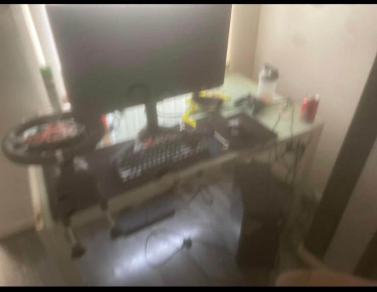 Gaming PC Setup with Monitor and Steering Wheel