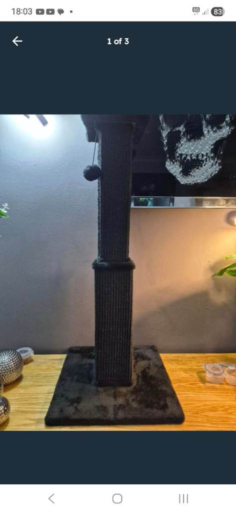 Black cat scratch post never used