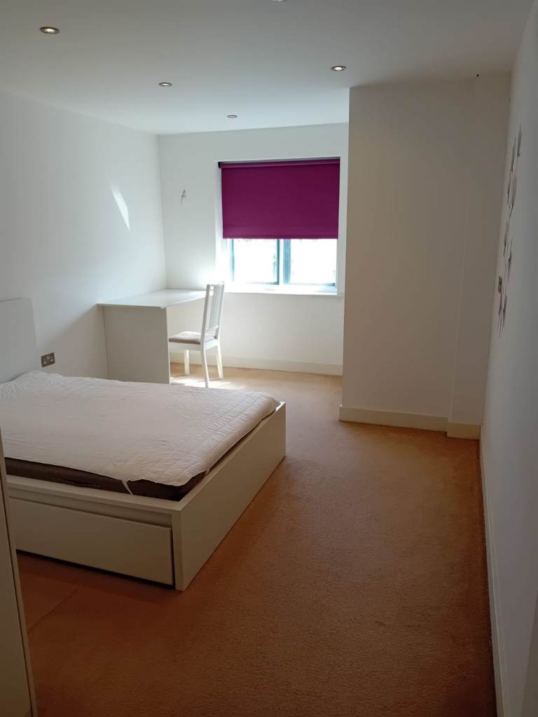 Large en-suite double bedroom - 30 mins from central London