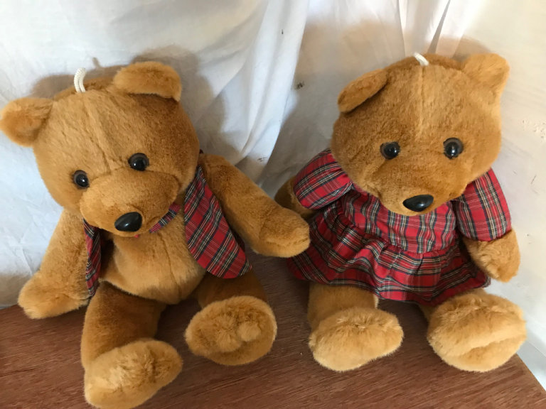 New Mr. and Mrs. Brown Bear