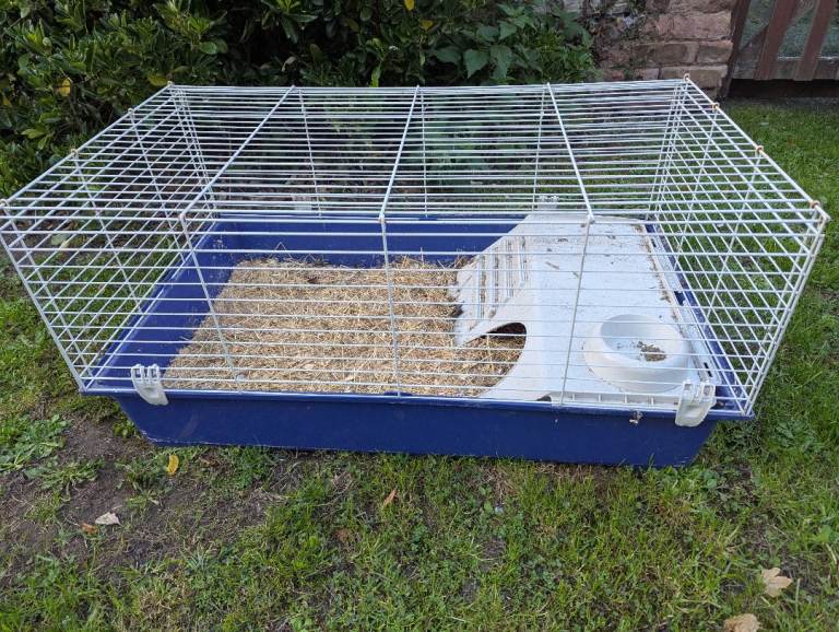 Guinea pig cage with shelter and food platform 