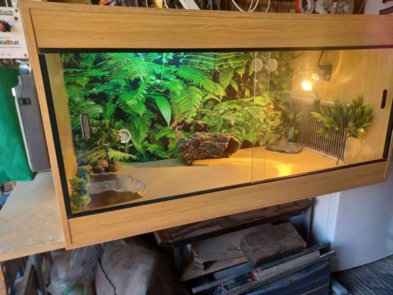 Vivarium LARGE 4ft x 2ft x 2ft with electrics