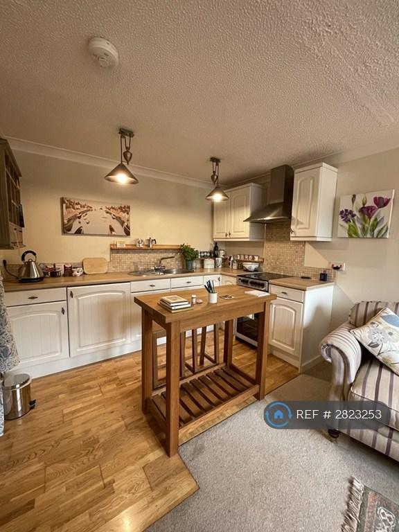1 bedroom flat in Dovedale, Cornworthy, TQ9 (1 bed) (#2823253)