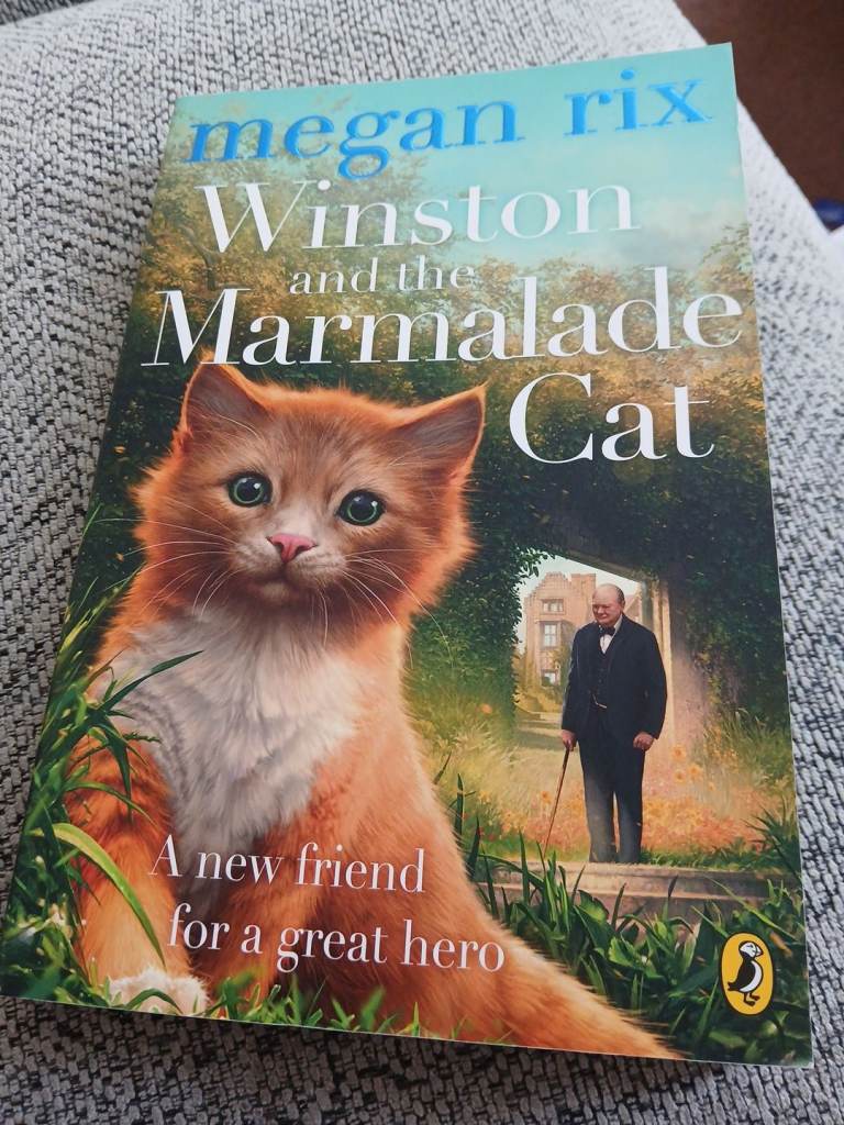 Megan Rix 'Winston and the Marmalade Cat' Book