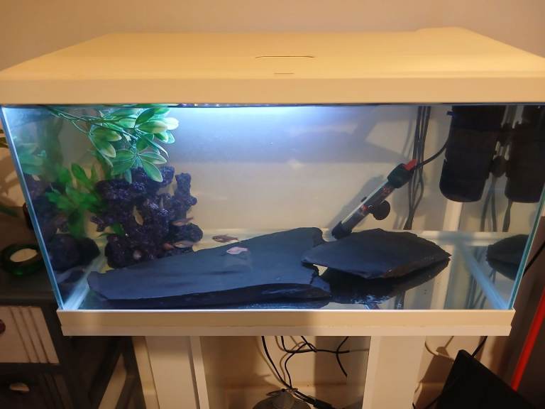 FISH TANK FOR SALE..3FT LONG X 1FT WIDE X 1FT DEPTH ( white with stand ) 