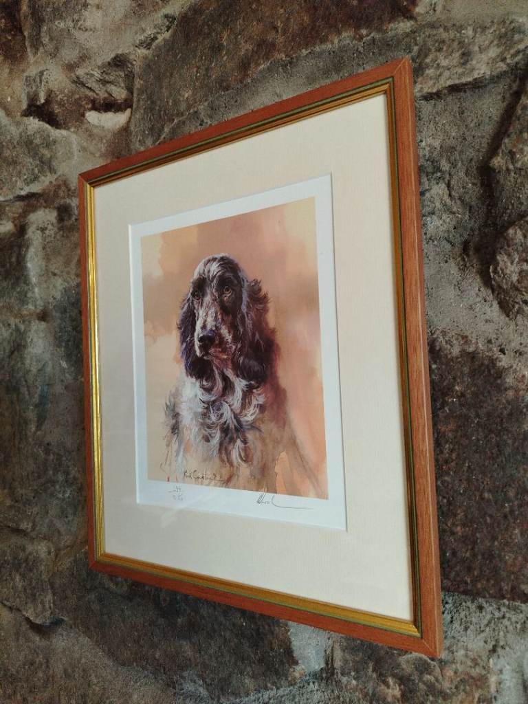 Cocker Spaniel Blue Roan 'Head of a Cocker' by Mick Cawston, Limited Edition