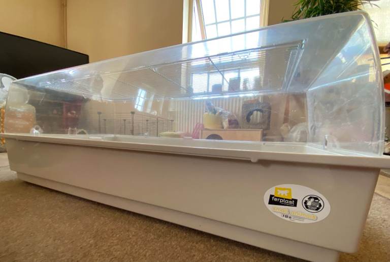 Hamster cage 