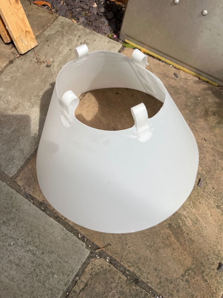 Buster collar for large dog 