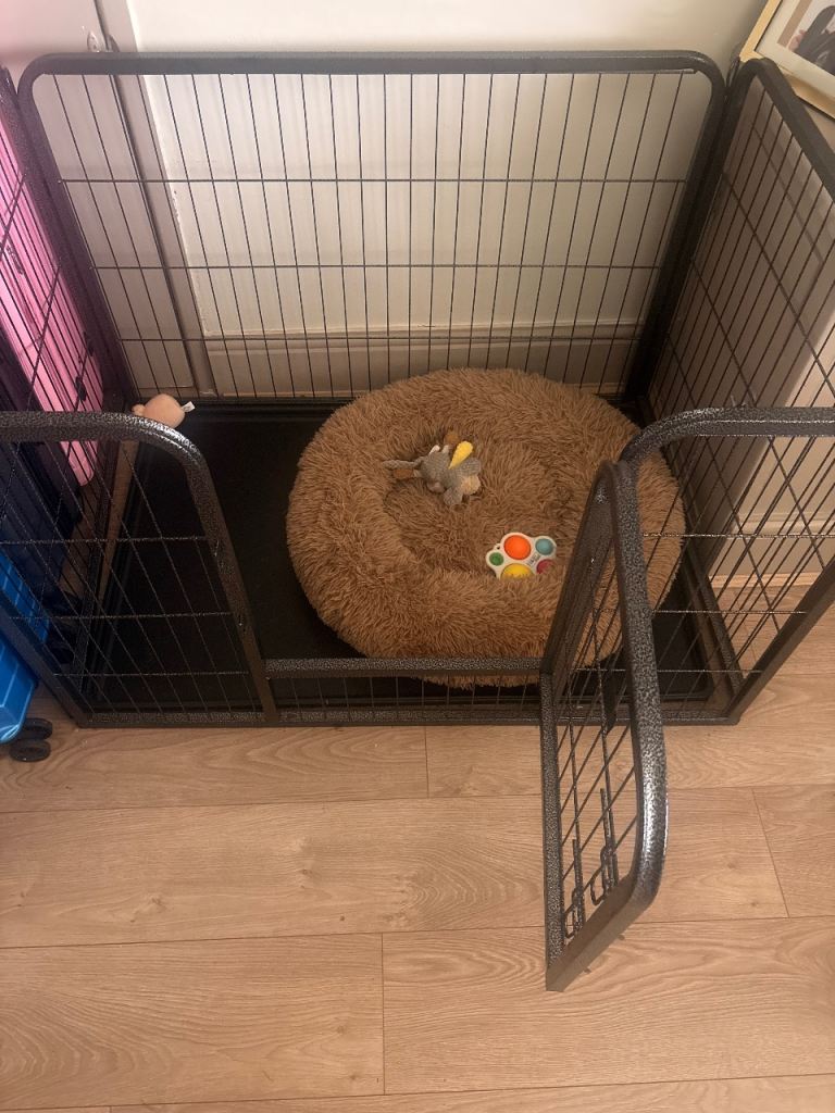 Dog cage large