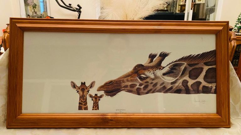'Whispers'  by Warwick Higgs Framed Print, Giraffes, Wildlife Art