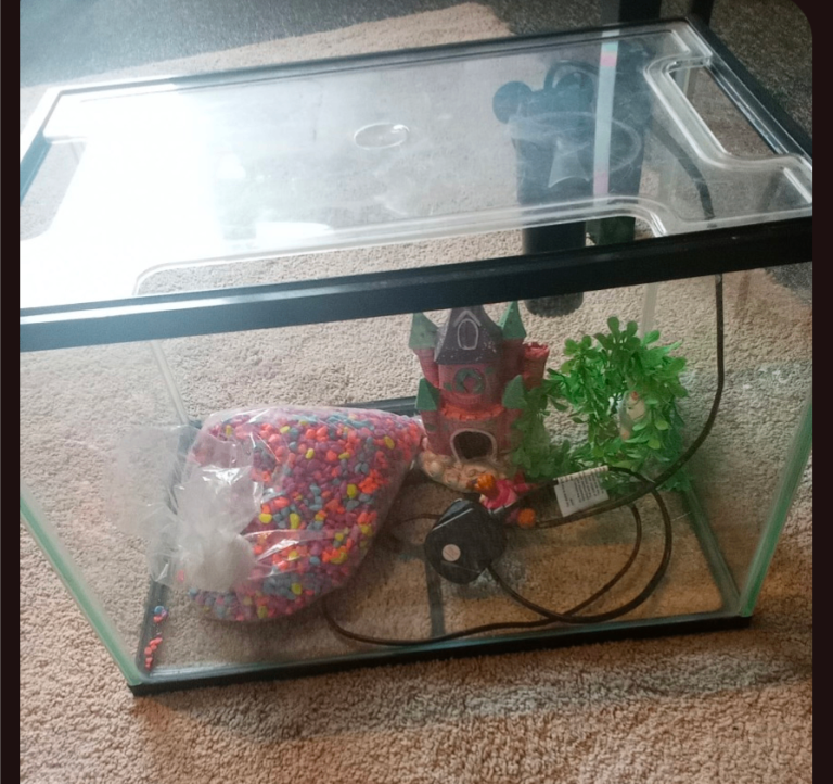 Glass fish tank with lid, castle decoration, artificial plant, and colourful gravel