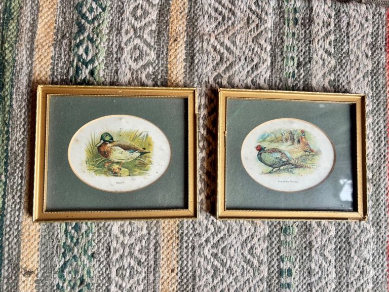 Two Vintage small framed prints featuring a mallard duck/Pheasant