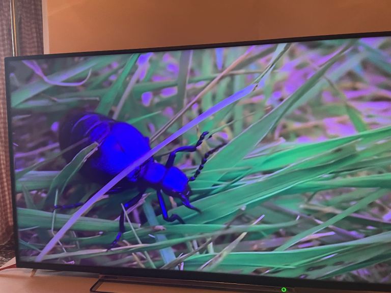Television