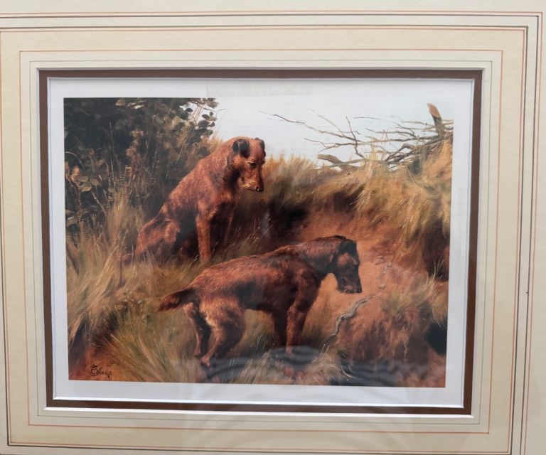 Framed print of two Irish Terrier’s