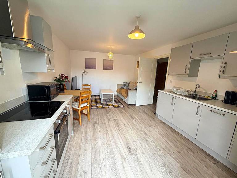 Massive and excellent condition ONE Bedroom modern flat with Balcony near London City Airport- 