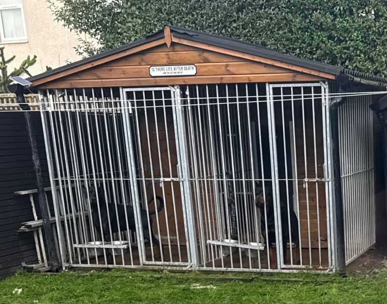 Double dog kennels insulated