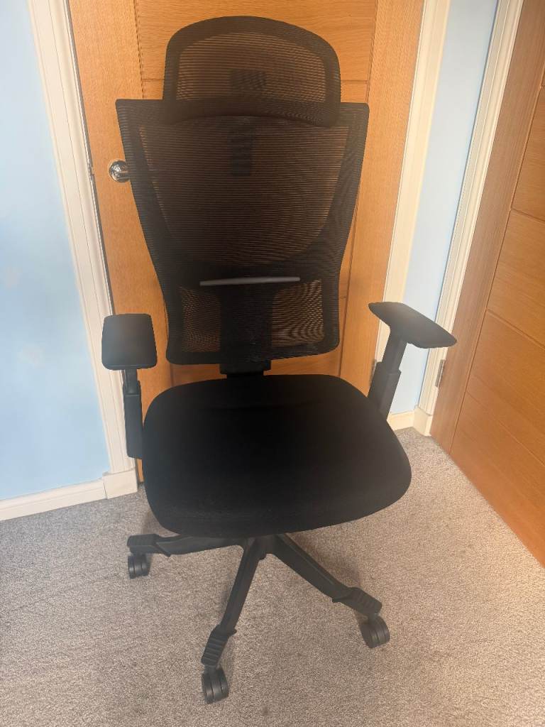 Great condition! Flexispot BS8 ergonomic office chair!