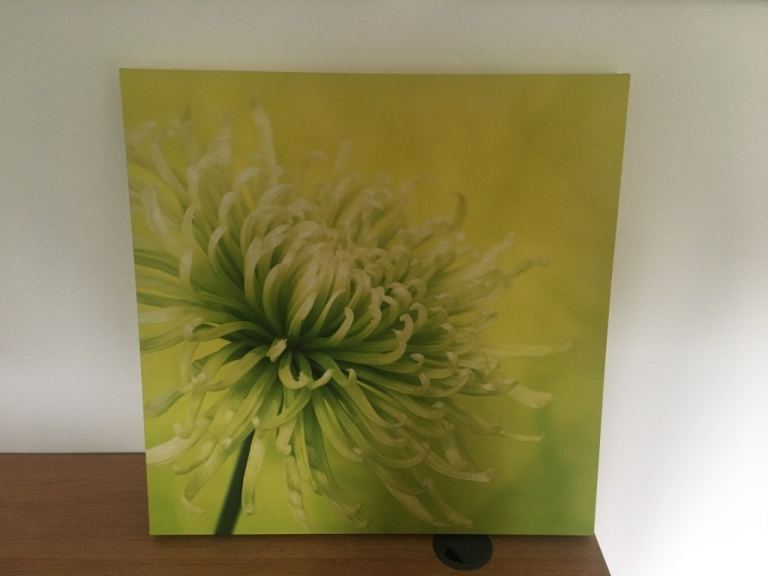 Flower canvas picture