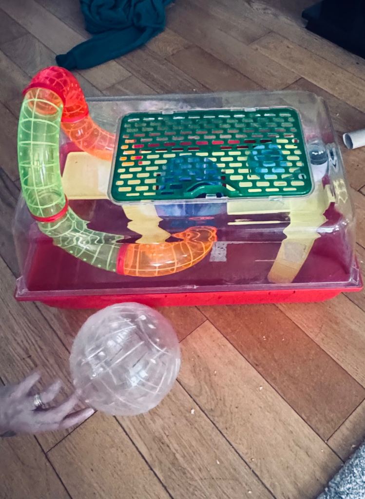 Hamster cage